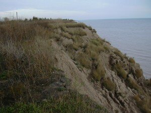 At the end of the corn field behind the house where I'm staying, the shore of Lake Erie is rapidly eroding.